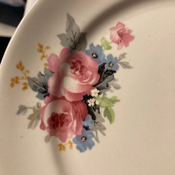 Vintage Dinner Plates (2) 9 Inches with Pink & Blue Flowers / Roses - Picture 7 of 16